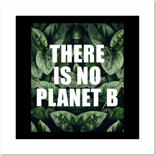 There is no planet b Posters and Art